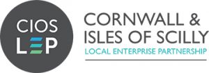 Cornwall and Isles of Scilly logo